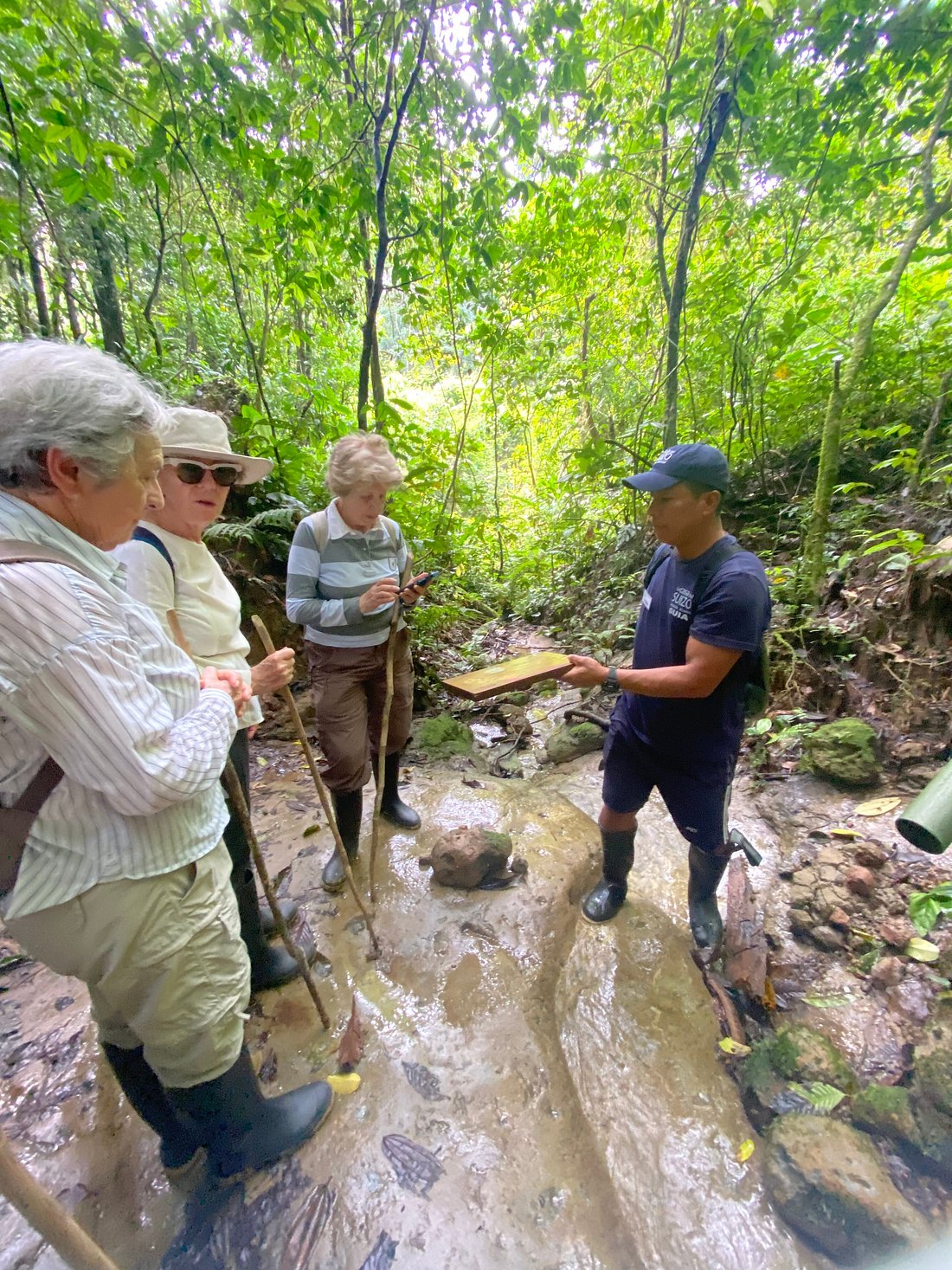 Access-la-selva-eco-lodge-wdp1